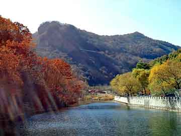 澳门天天免费精准大全，圆钢产地